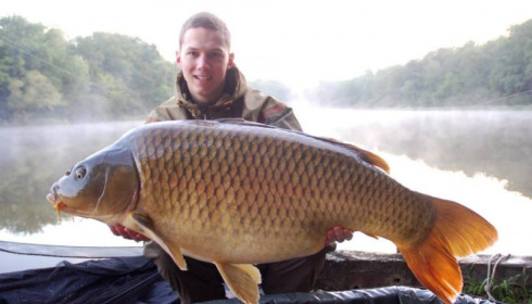 A carp from Brie, Aug 2014