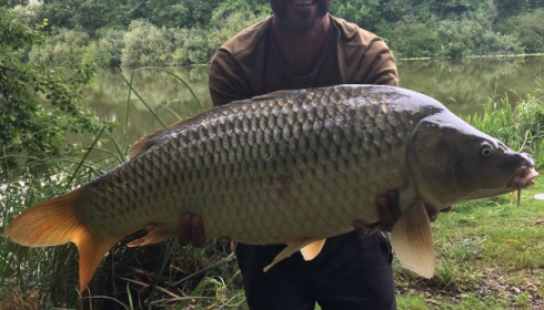 A carp from Brie, Hick's Party, Aug 2017