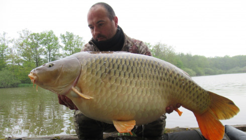 A fish from Brie, Common 18.5 Kg, Apr 2022