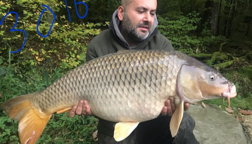 A 31 lb carp from Brie, Jason Ellis, Sep 2017