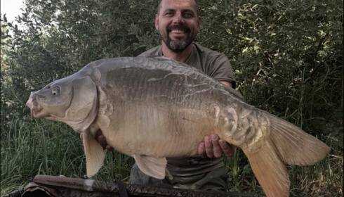 A carp from Brie, Jul 2019