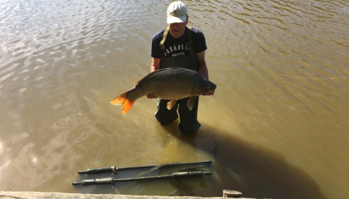 A 40 lb fish from Brie, Common Carp, Aug 2022