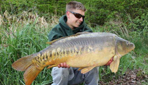 A carp from Brie, Apr 2014