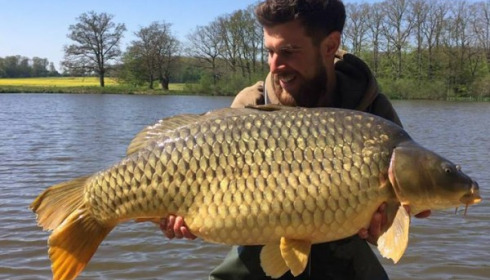 A carp from Brie, Apr 2017