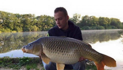 A carp from Brie, Jun 2015