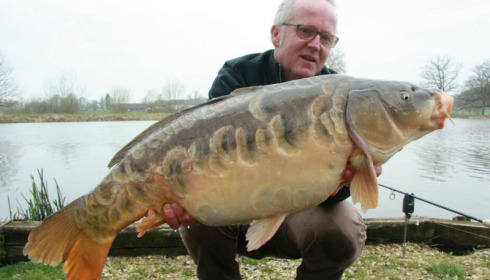 A carp from Brie, Mar 2017