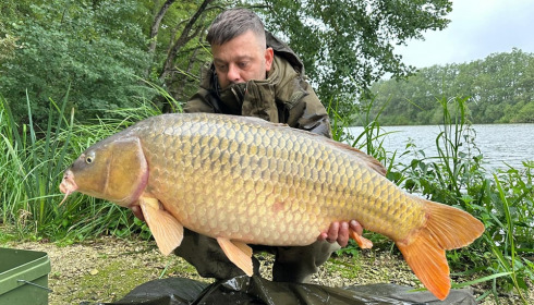 A carp from Brie, Aug 2023