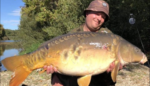 A carp from Brie, Oct 2018