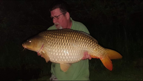A carp from Brie, Jun 2019