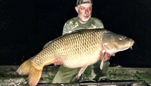 A carp from Brie, Sep 2017