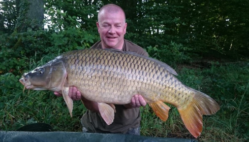 A carp from Brie, Jun 2017
