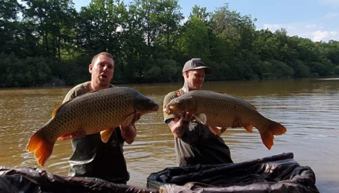 A carp from Brie, Aug 2022