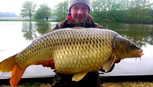A carp from Brie, May 2015