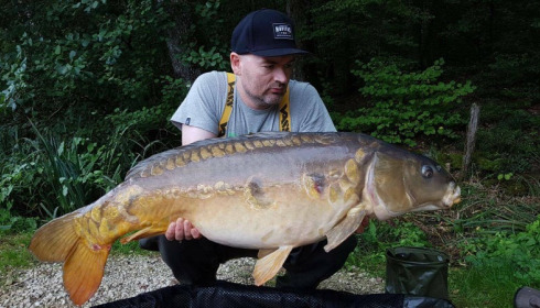 A carp from Brie, Sep 2017