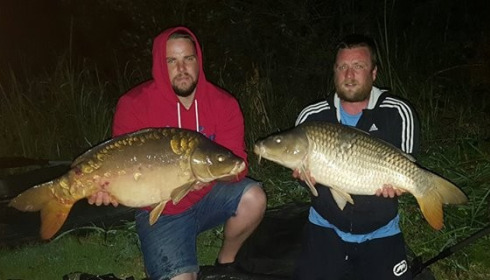 A carp from Brie, Sep 2016