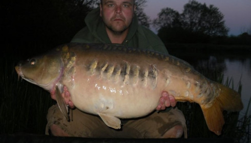 A carp from Brie, May 2016