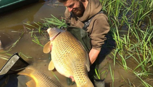 A carp from Brie, Apr 2017