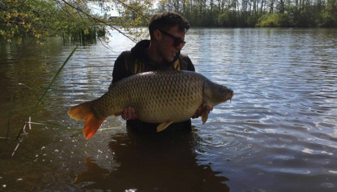 A carp from Brie, Apr 2017