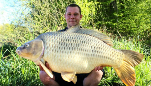 A carp from Brie, Apr 2014