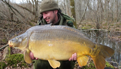 A 36 lb 8 oz carp from Brie, Dean Randle, Mar 2015