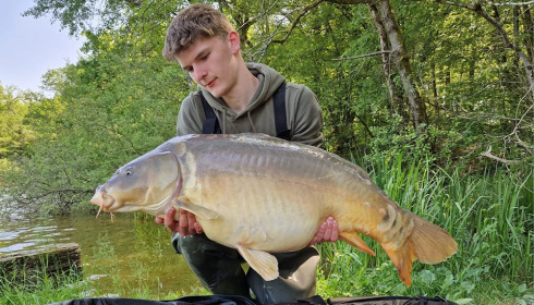 A carp from Brie, Jun 2023
