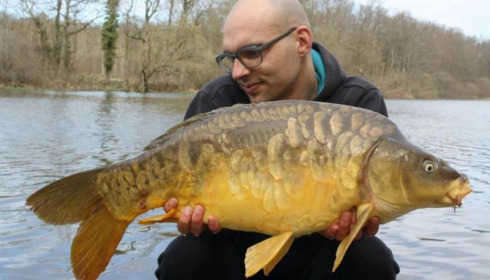 A carp from Brie, Apr 2016
