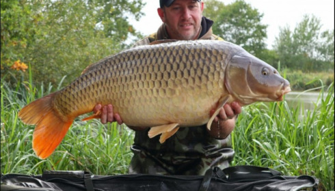 A carp from Brie, Sep 2019