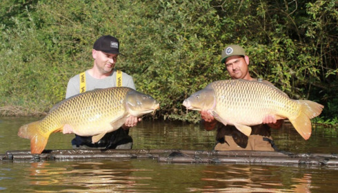 A carp from Brie, Sep 2017