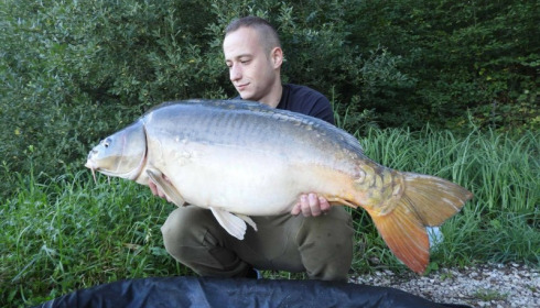 A carp from Brie, Aug 2017