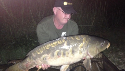 A carp from Brie, Mark Mulchrone, Aug 2015