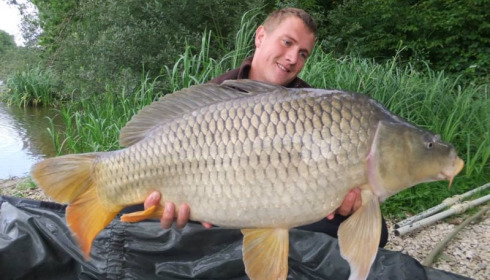 A carp from Brie, Aug 2014