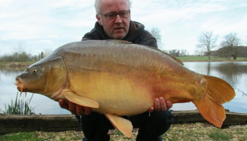 A carp from Brie, Mar 2017