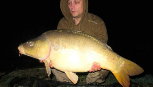 A carp from Brie, Sep 2014