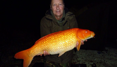 A 20 lb carp from Brie, Terence Gannon, Sep 2016