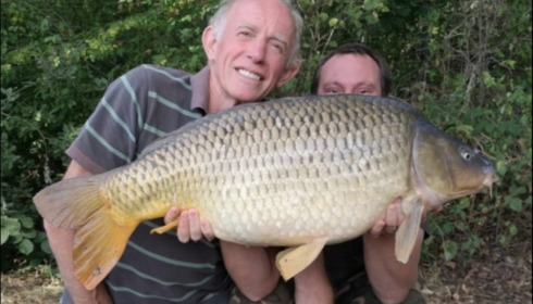 A carp from Brie, Aug 2019