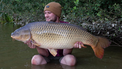 A carp from Brie, Sep 2021