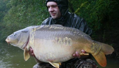 A carp from Brie, Oct 2014