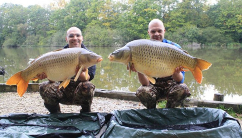 A carp from Brie, Oct 2014
