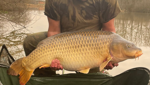 A carp from Brie, Mar 2022
