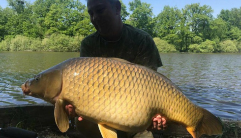 A carp from Brie, May 2018