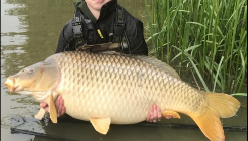 A 47 lb 5 oz carp from Brie, May 2019
