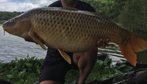 A carp from Brie, Hick's Party, Aug 2017