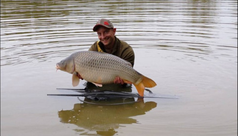 A carp from Brie, Sep 2018