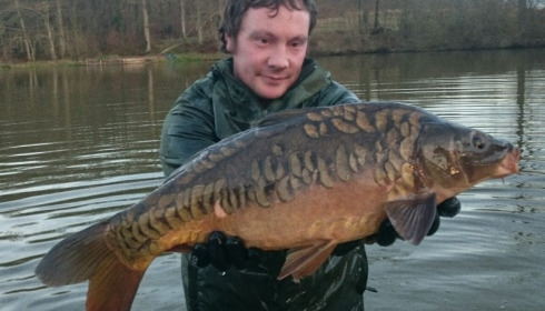 A carp from Brie, Jan 2016