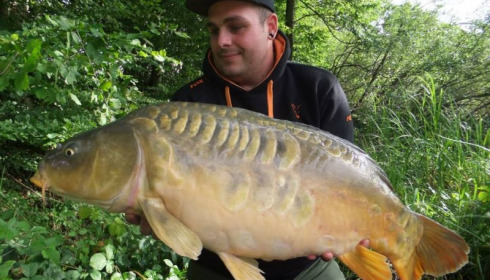A carp from Brie, Aug 2014