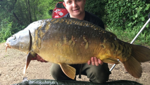 A carp from Brie, David Hammond, May 2017