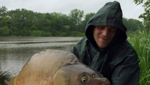 A carp from Brie, Jun 2015