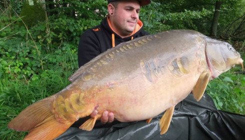 A carp from Brie, Aug 2014