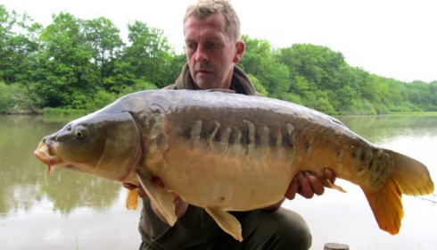 A carp from Brie, May 2014