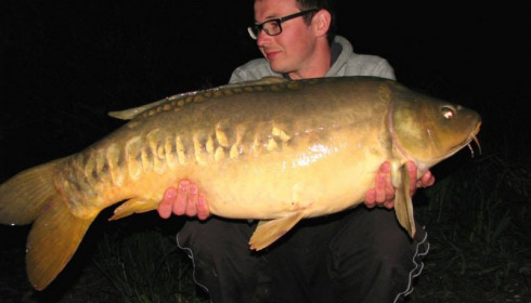 A carp from Brie, Apr 2014